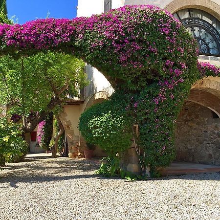 Apartaments Can Gibert Castello  D'Empuries Zewnętrze zdjęcie