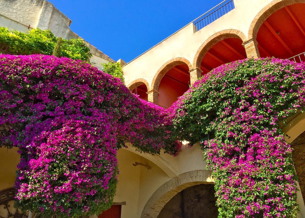 Apartaments Can Gibert Castello  D'Empuries Zewnętrze zdjęcie
