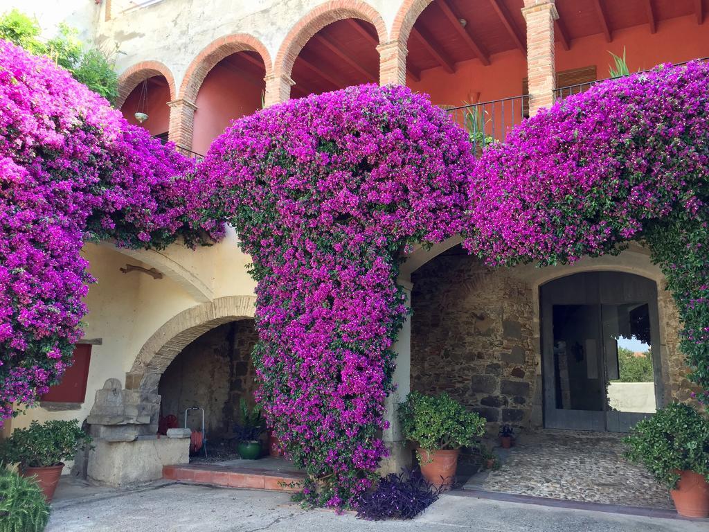 Apartaments Can Gibert Castello  D'Empuries Zewnętrze zdjęcie